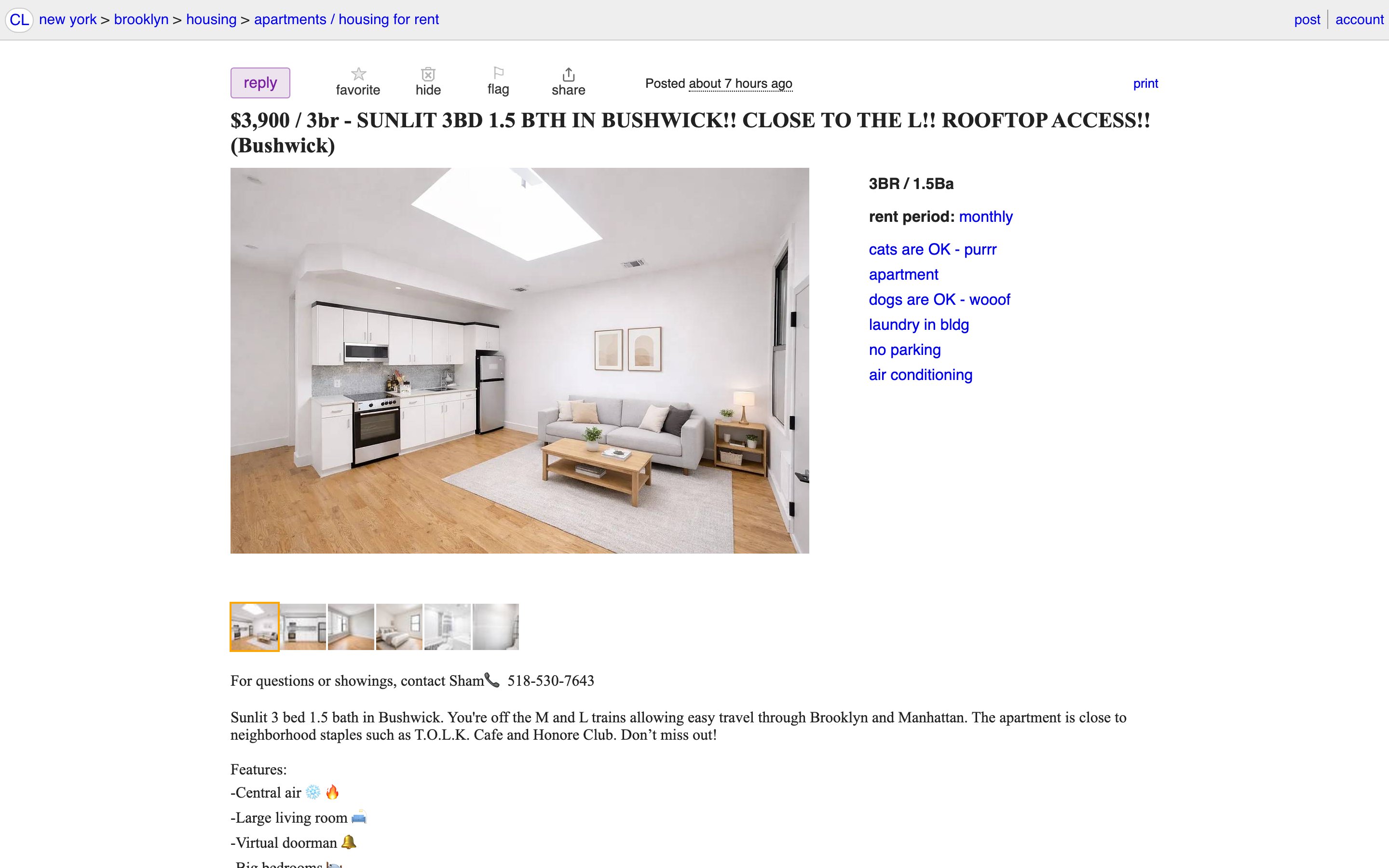 Craigslist — Sunlit 3BD in Bushwick, Brooklyn